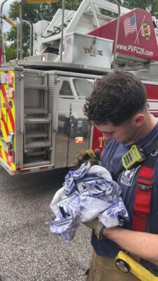 Kitten @Station 29